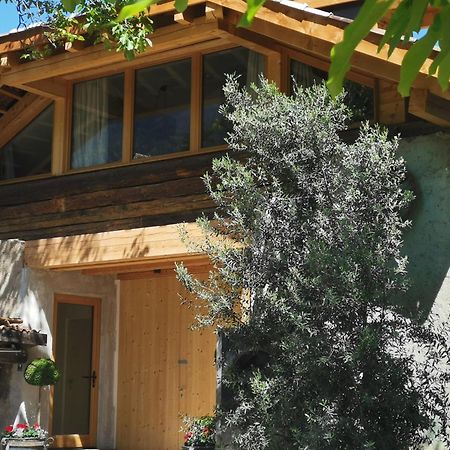 Ansitz Grustdorf Daire Appiano Sulla Strada Del Vino Dış mekan fotoğraf