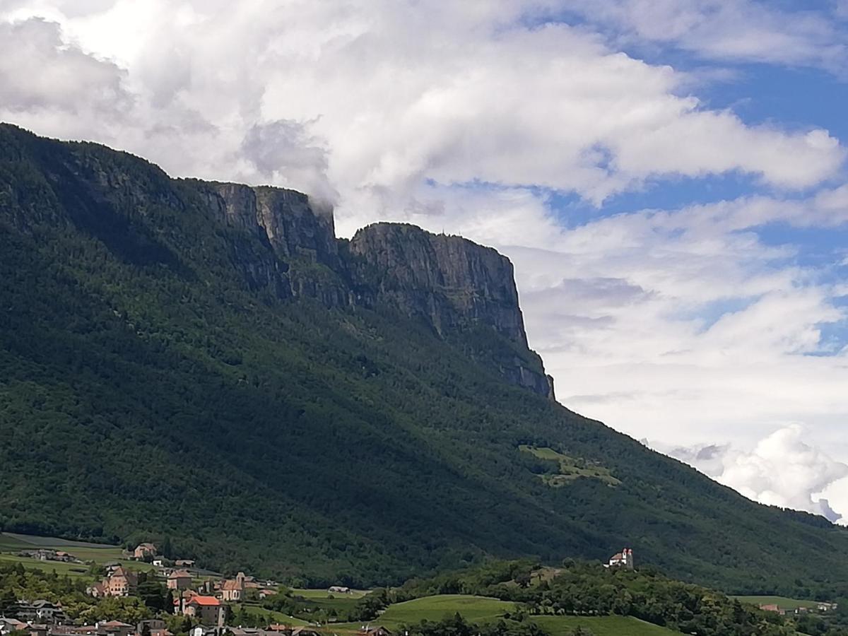 Ansitz Grustdorf Daire Appiano Sulla Strada Del Vino Dış mekan fotoğraf