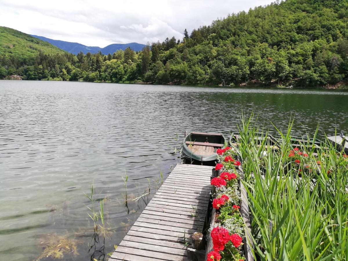 Ansitz Grustdorf Daire Appiano Sulla Strada Del Vino Dış mekan fotoğraf