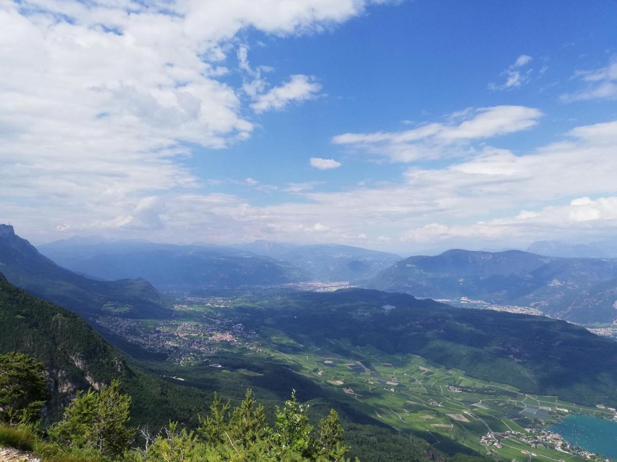 Ansitz Grustdorf Daire Appiano Sulla Strada Del Vino Dış mekan fotoğraf